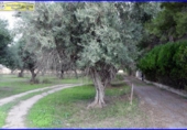 Xalet independent amb terreny en venda a la España, Santomera, ref.: TR145523 foto