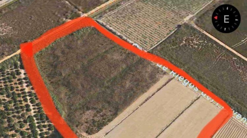 Alicante - San Fulgencio - 18000m2