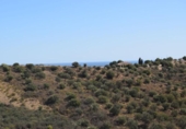 Suelo urbano en venta en la España, Mijas, ref: TR123450 foto