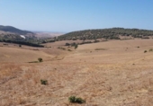 Terreny no urbanitzable en venda a la España, Vejer de la Frontera, ref.: TR114194 foto