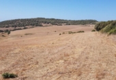 Terreny no urbanitzable en venda a la España, Vejer de la Frontera, ref.: TR114194 foto