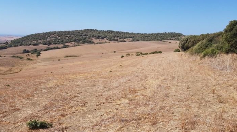 Cádiz - Vejer de la Frontera - 8947m2