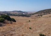 Terreny no urbanitzable en venda a la España, Vejer de la Frontera, ref.: TR114194 foto