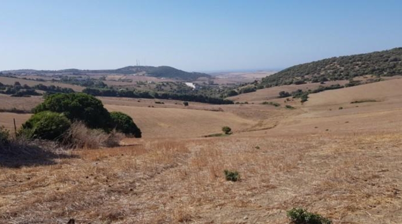 Cádiz - Vejer de la Frontera - 8947m2