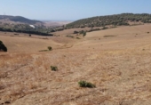 Terreny no urbanitzable en venda a la España, Vejer de la Frontera, ref.: TR114194 foto