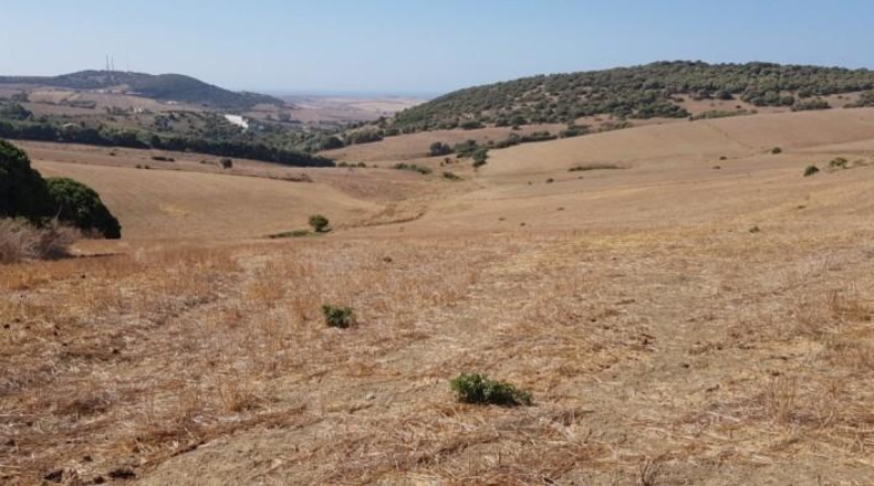 Cádiz - Vejer de la Frontera - 8947m2
