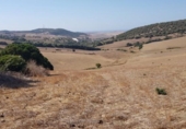 Terreny no urbanitzable en venda a la España, Vejer de la Frontera, ref.: TR114194 foto