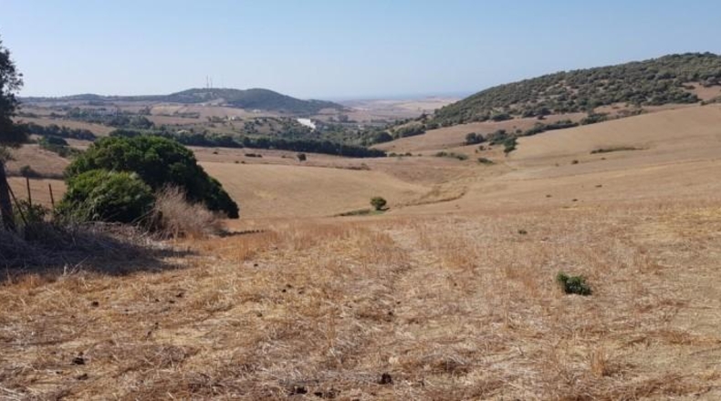 Cádiz - Vejer de la Frontera - 8947m2