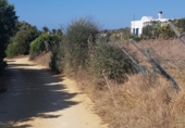 Terreny no urbanitzable en venda a la España, Vejer de la Frontera, ref.: TR114194 foto