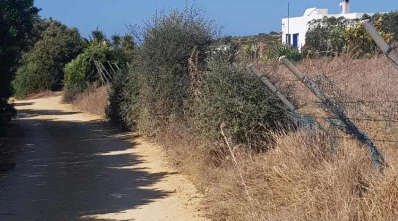 Cádiz - Vejer de la Frontera - 8947m2