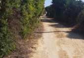 Terreny no urbanitzable en venda a la España, Vejer de la Frontera, ref.: TR114194 foto