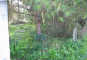 Urban land for sale on España, Sentmenat, ref: TR116285 photo