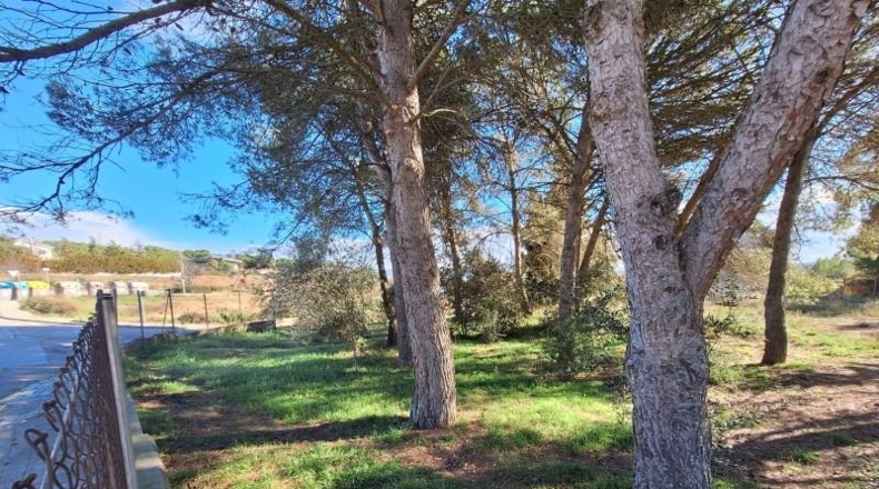 Barcelona - Igualada - 795m2