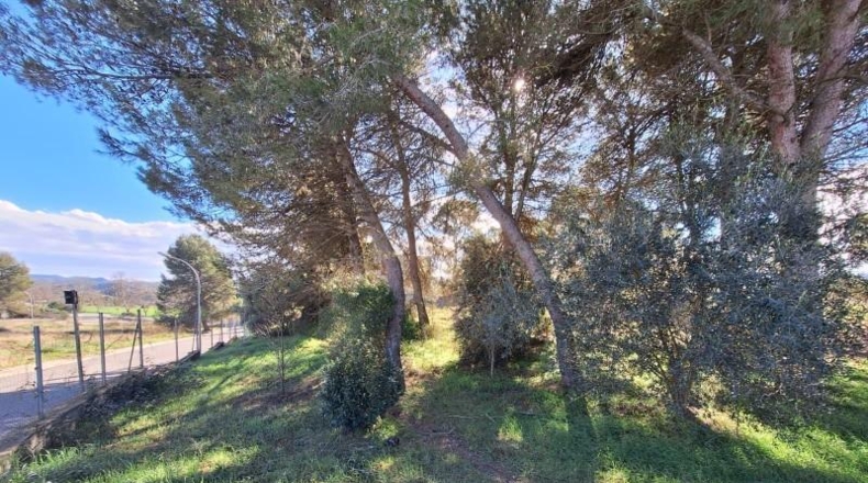 Barcelona - Igualada - 795m2