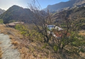 Casa de camp amb terreny en venda a la España, San Bartolomé de Tirajana, ref.: TR317636 foto