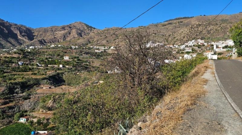 Las Palmas - Tejeda - 170m2