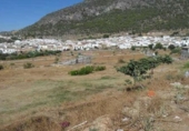 Sòl urbà en venda a la España, Algodonales, ref.: TR309033 foto