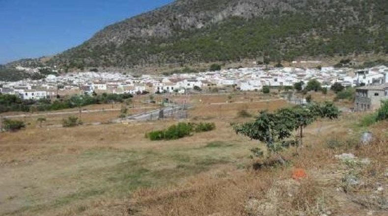 Cádiz - Algodonales - 6345m2