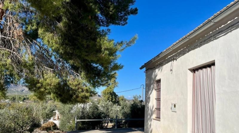 Murcia - Cieza - 65m2