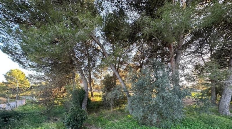 Barcelona - Igualada - 795m2