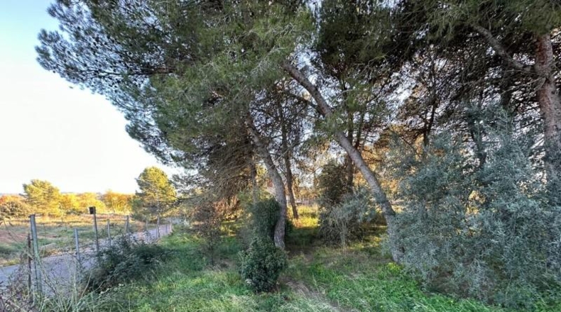 Barcelona - Igualada - 795m2