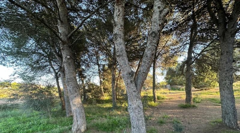 Barcelona - Igualada - 795m2