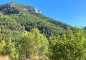 Casa de camp amb terreny en venda a la España, Benimaurell, ref.: TR156156 foto