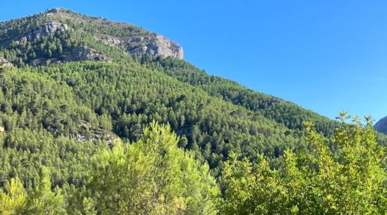 Alicante - Vall de Laguart - 4240m2