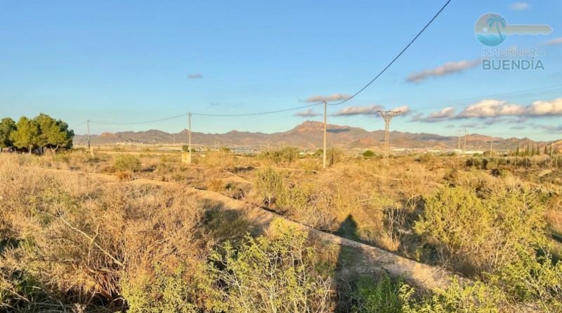Murcia - Mazarrón - 11700m2