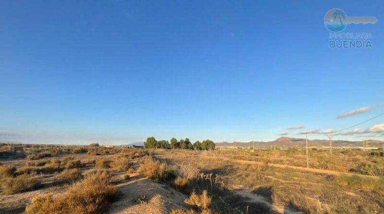 Murcia - Mazarrón - 11700m2