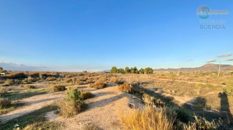 Murcia - Mazarrón - 11700m2