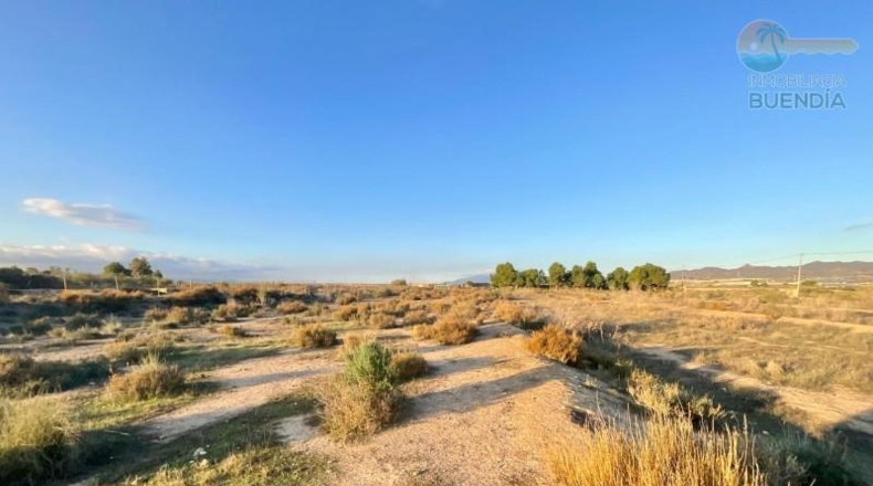Murcia - Mazarrón - 11700m2
