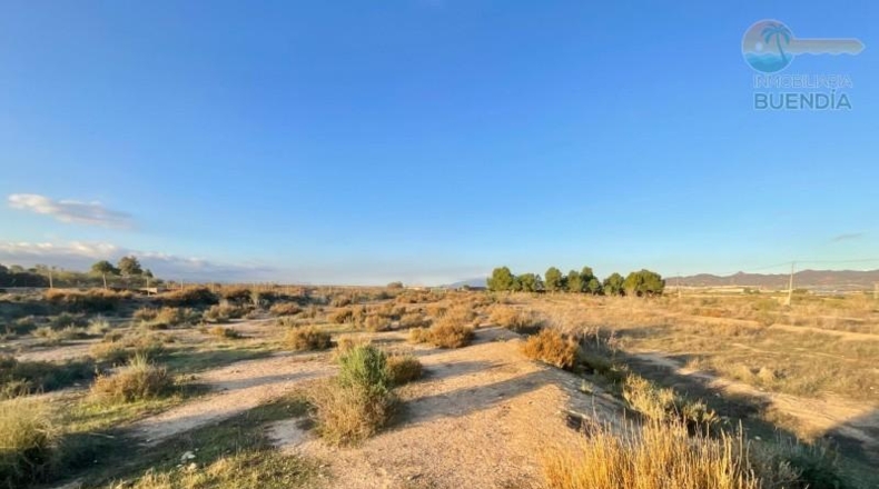 Murcia - Mazarrón - 11700m2
