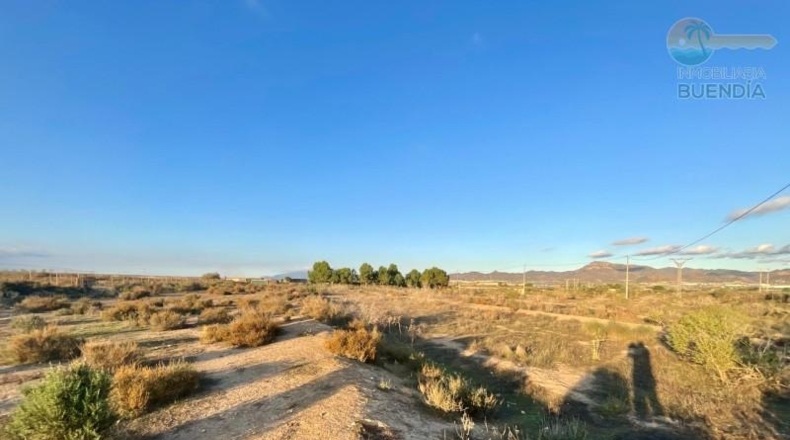 Murcia - Mazarrón - 11700m2