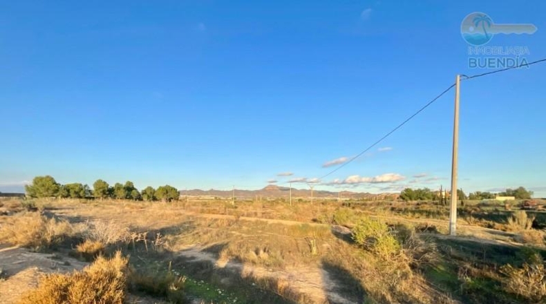 Murcia - Mazarrón - 11700m2
