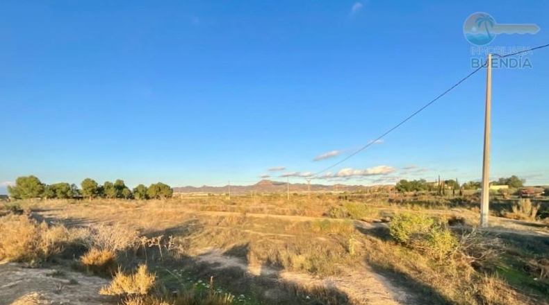 Murcia - Mazarrón - 11700m2