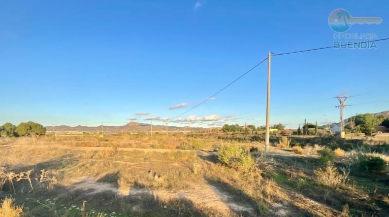 Murcia - Mazarrón - 11700m2