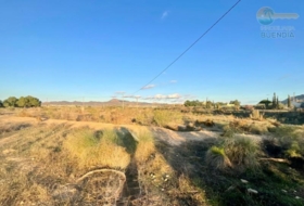Foto 19