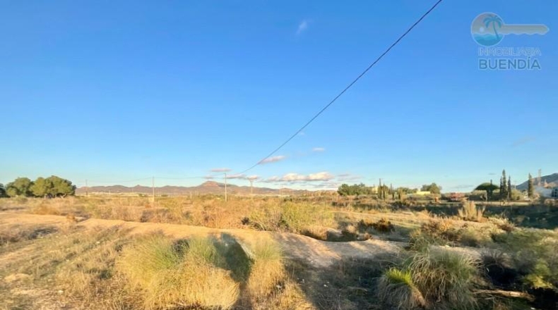 Murcia - Mazarrón - 11700m2