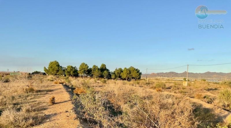 Murcia - Mazarrón - 11700m2