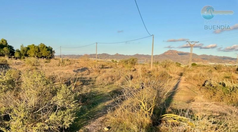 Murcia - Mazarrón - 11700m2