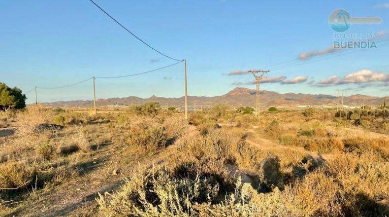 Murcia - Mazarrón - 11700m2