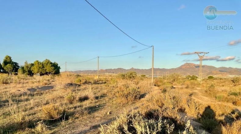 Murcia - Mazarrón - 11700m2