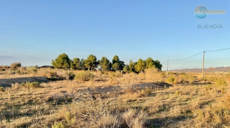 Murcia - Mazarrón - 11700m2