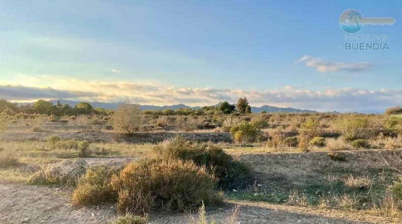 Murcia - Mazarrón - 11700m2
