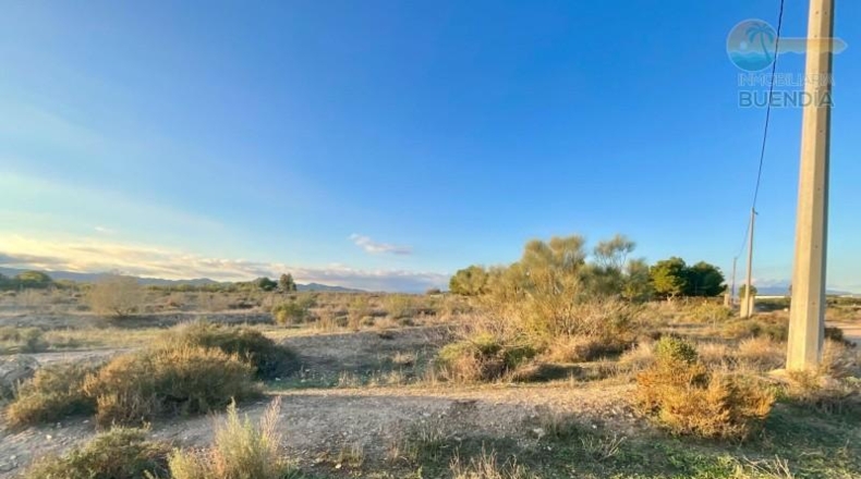 Murcia - Mazarrón - 11700m2