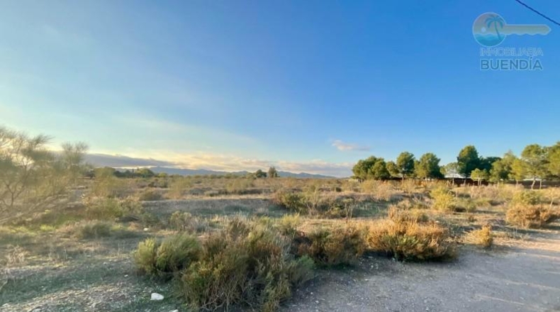 Murcia - Mazarrón - 11700m2