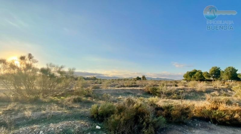 Murcia - Mazarrón - 11700m2