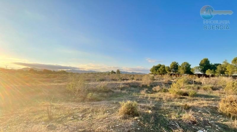 Murcia - Mazarrón - 11700m2