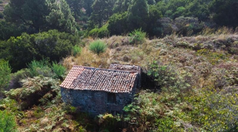 Santa Cruz de Tenerife - Llano Negro - 13450m2